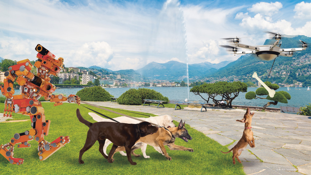 Chiens et robot
