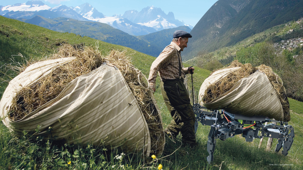 Mann auf Alp