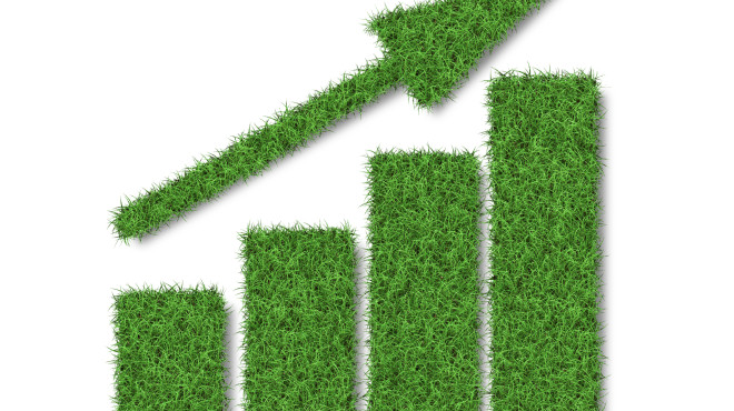 Diagramm aus Gras mit Pfeil aus Gras, der nach oben zeigt
