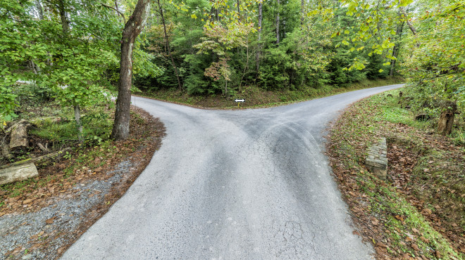 sich verzweigender Weg im Wald