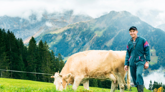 Bauer mit Kuh auf Feld