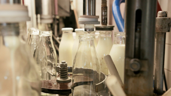 Production laitière