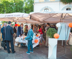 Ditello all'economia
