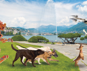 Chiens et robot