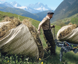 Mann auf Alp