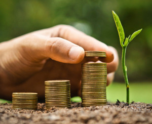 economica verde